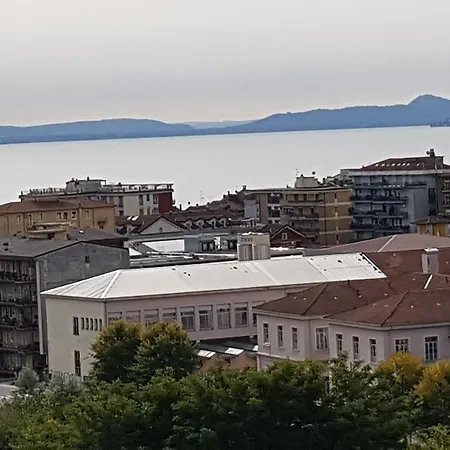 Stella Maggiore *