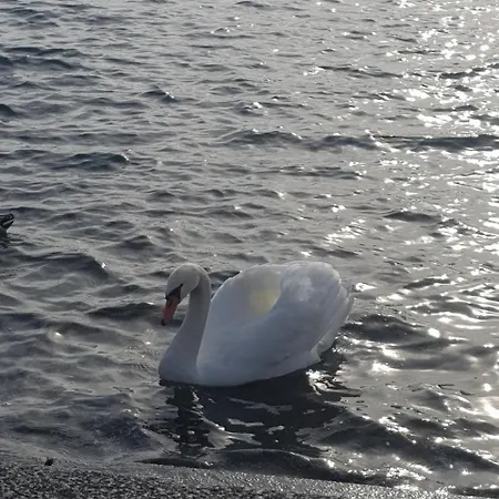 Couette-café Stella Maggiore 3*