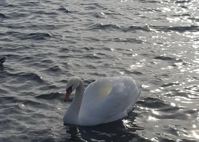 לינה וארוחת בוקר Stella Maggiore 3*